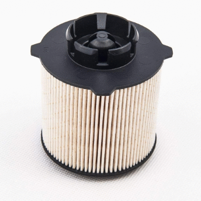 Fuel Filter (12138312)