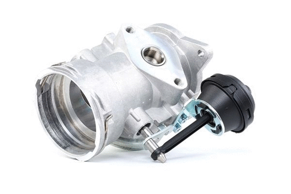 EGR Valve (12165965)