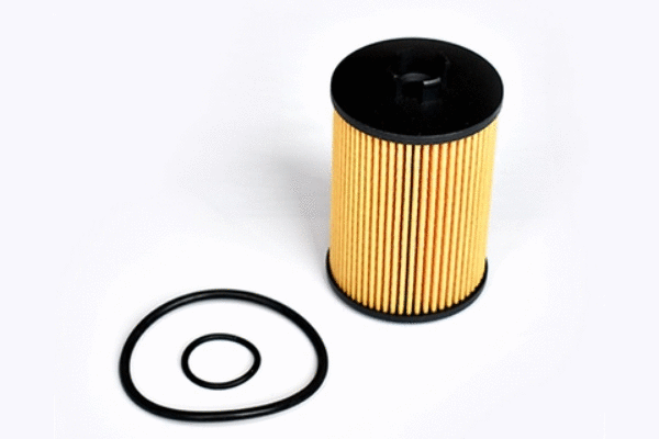 Oil Filter (12135398)