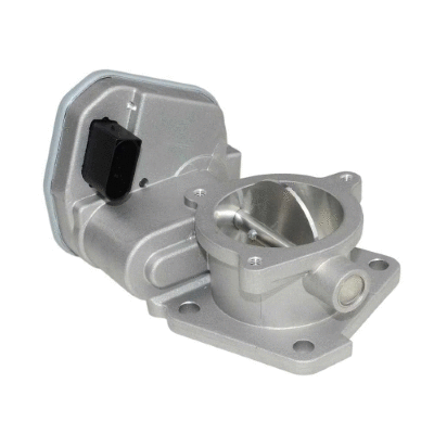 EGR Valve (12171395)