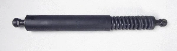 Gas Spring, boot/cargo area (12182792)