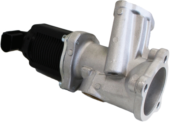 EGR Valve (12106374)