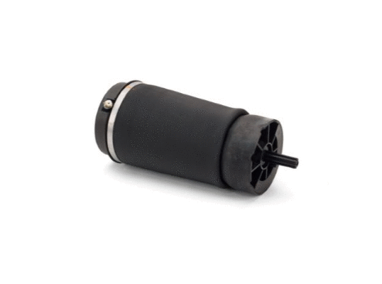 Air Spring, suspension (12127056)