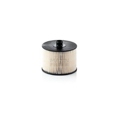 Fuel Filter (12138338)