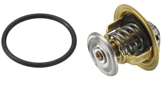 Thermostat, coolant (12192202)