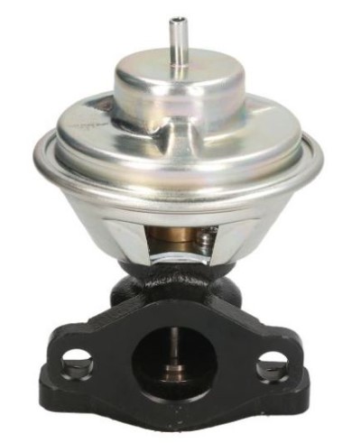 EGR Valve (12209124)