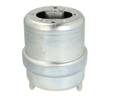 Mounting, engine (12162529)