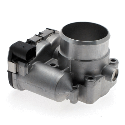 Throttle Body (12172439)