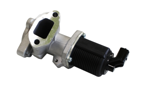 EGR Valve (12106384)