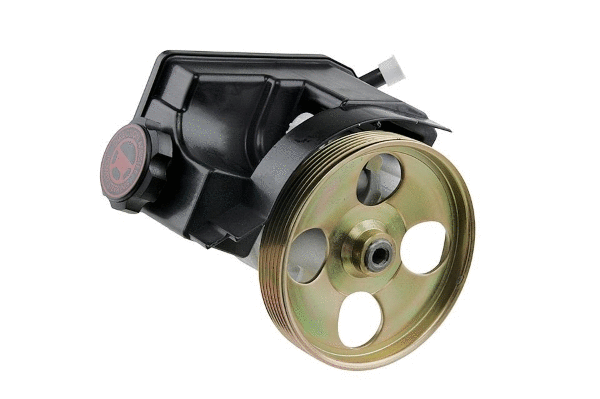 Hydraulic Pump, steering (12157668)