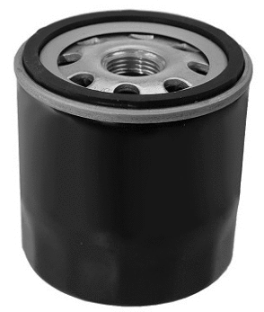Oil Filter (12138265)