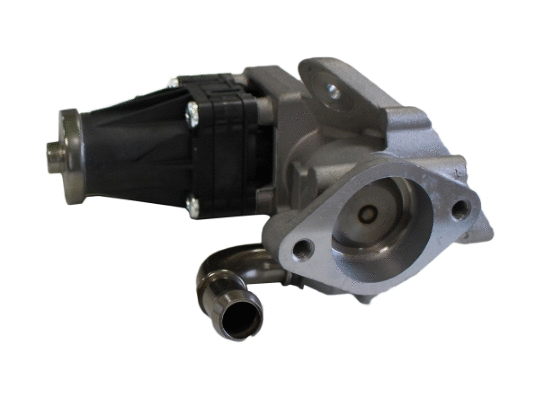 EGR Valve (12106379)