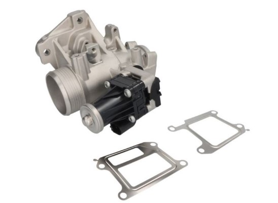 EGR Valve (12198106)