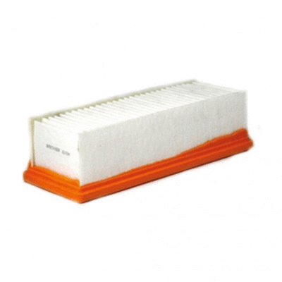 Air Filter (11766961)