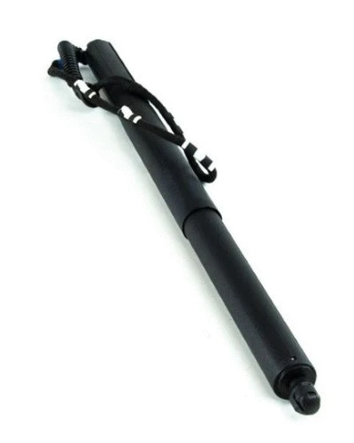 Gas Spring, boot/cargo area (12194979)