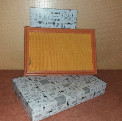 Air Filter (MT6245)