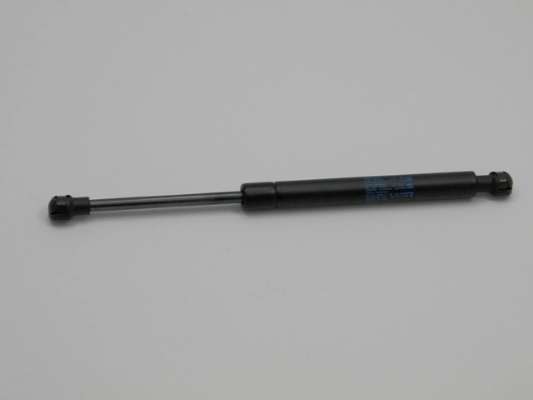 Gas Spring, bonnet (12161343)