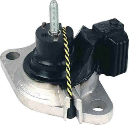 Mounting, engine (12130253)