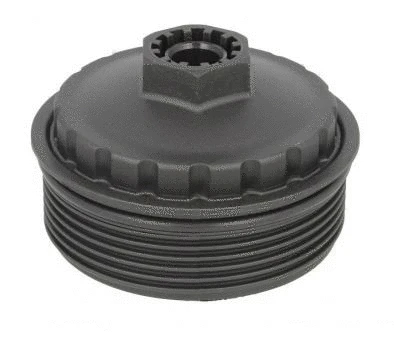 Cap, oil filter housing (12191325)