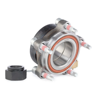 Wheel Bearing Kit (12115571)