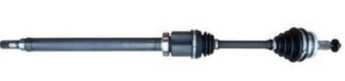 Drive Shaft (12161101)