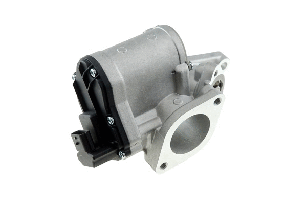 EGR Valve (12176110)