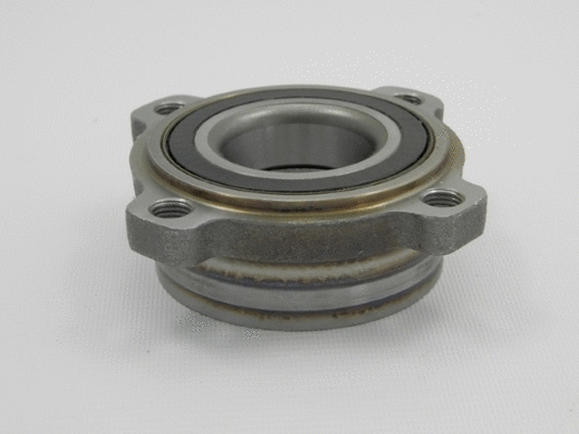Wheel Bearing Kit (12119999)