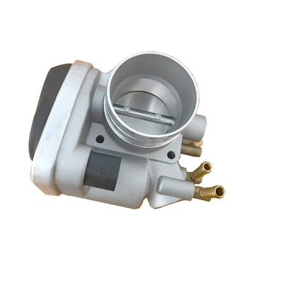 Throttle Body (12164247)