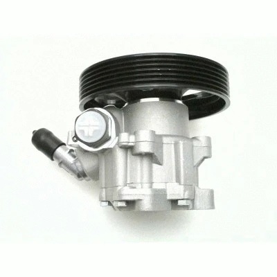 Hydraulic Pump, steering (12178346)