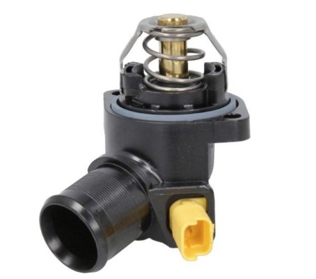 Thermostat, coolant (12220762)