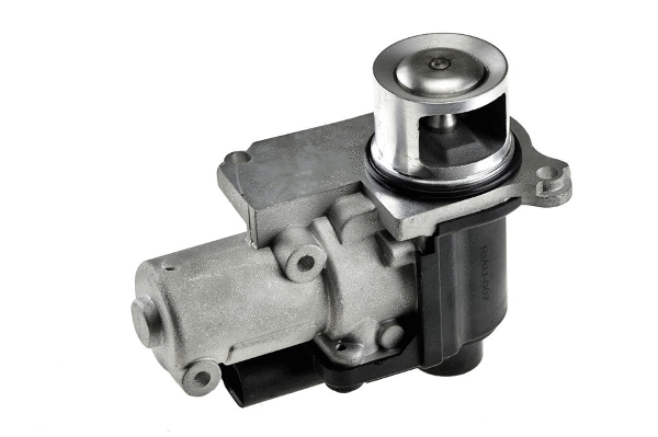 EGR Valve (12119894)