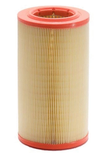 Air Filter (12111794)