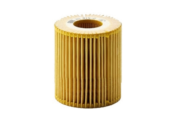 Oil Filter (12135368)