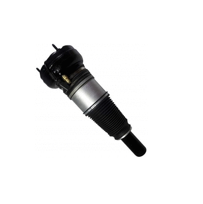Air Suspension Strut (12127069)