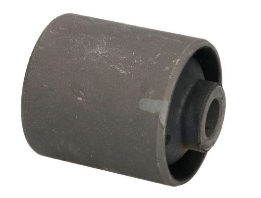 Bushing, axle beam (12162601)