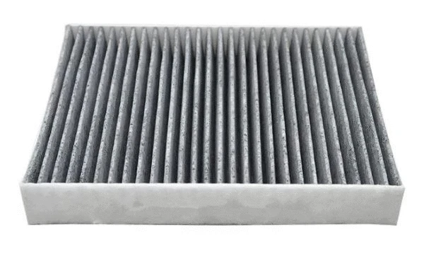 Filter, cabin air (12111797)