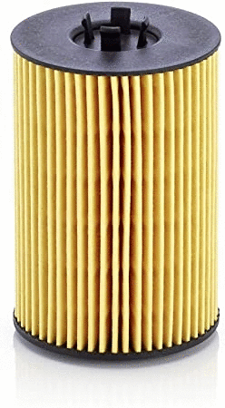 Oil Filter (12138246)