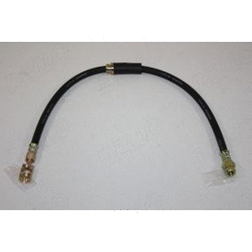 Brake Hose (12162084)