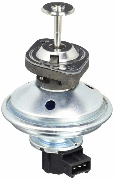EGR Valve (12115632)
