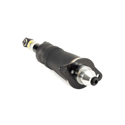 Air Suspension Strut (12163959)