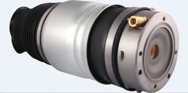 Air Spring, suspension (12117123)