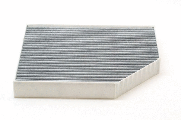 Filter, cabin air (12138658)