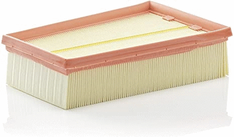 Air Filter (12138461)