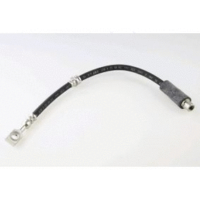 Brake Hose (12162063)