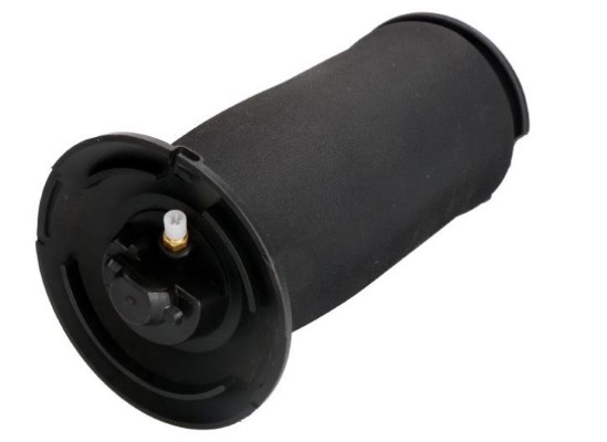 Air Spring, suspension (12220626)