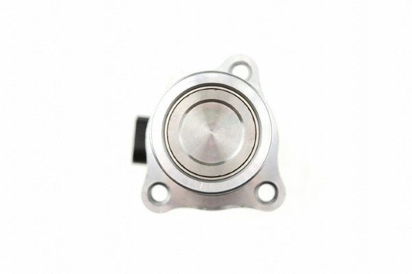 EGR Valve (12115628)