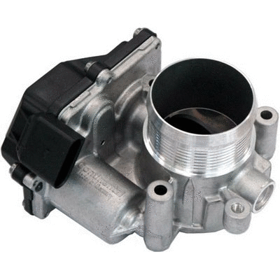 Throttle Body (12178005)