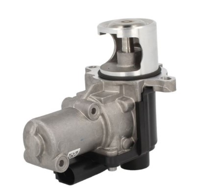 EGR Valve (12209819)