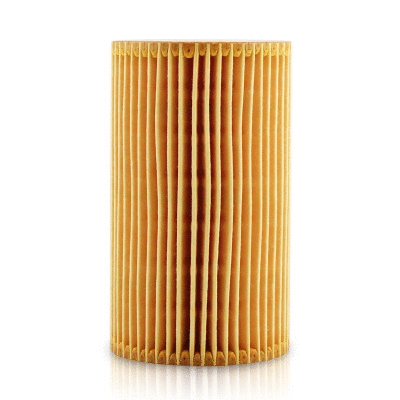 Oil Filter (12138264)