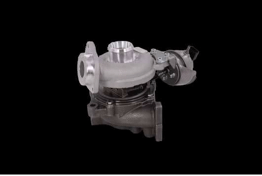 Charger, charging (supercharged/turbocharged) (12166184)